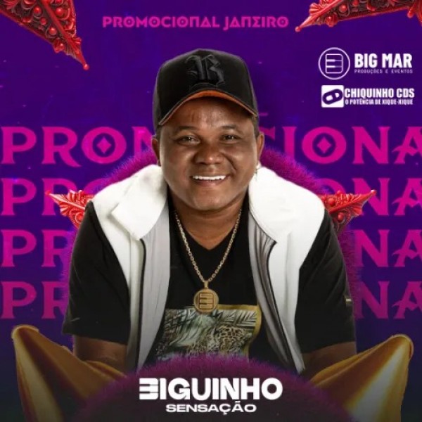 [BIGUINHO SENSAÇÃO 2025 MÚSICAS NOVAS - PROMOCIONAL JANEIRO 2025]